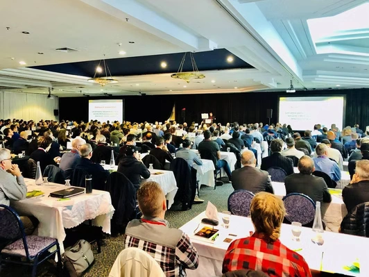 Maple Armor’s Team