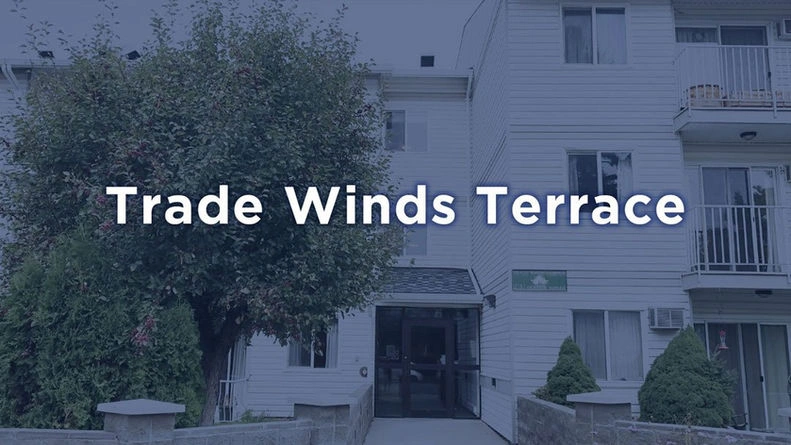 trade-winds